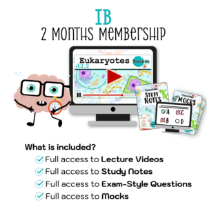 IB 2 Months