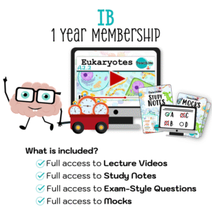 IB 1 Year