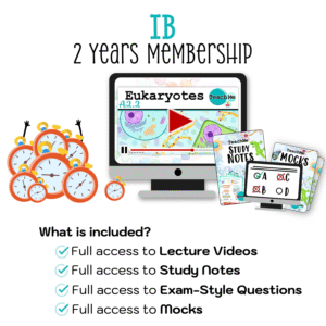 IB 2 Years