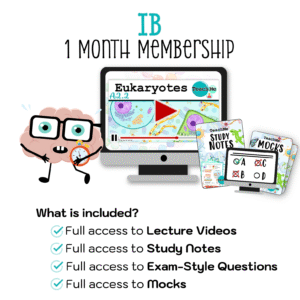 IB 1 Month