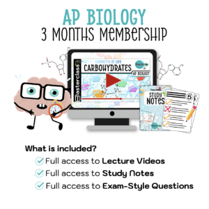 AP 3 Months