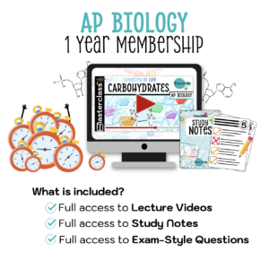 AP 1 Year